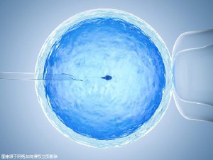 陈教授